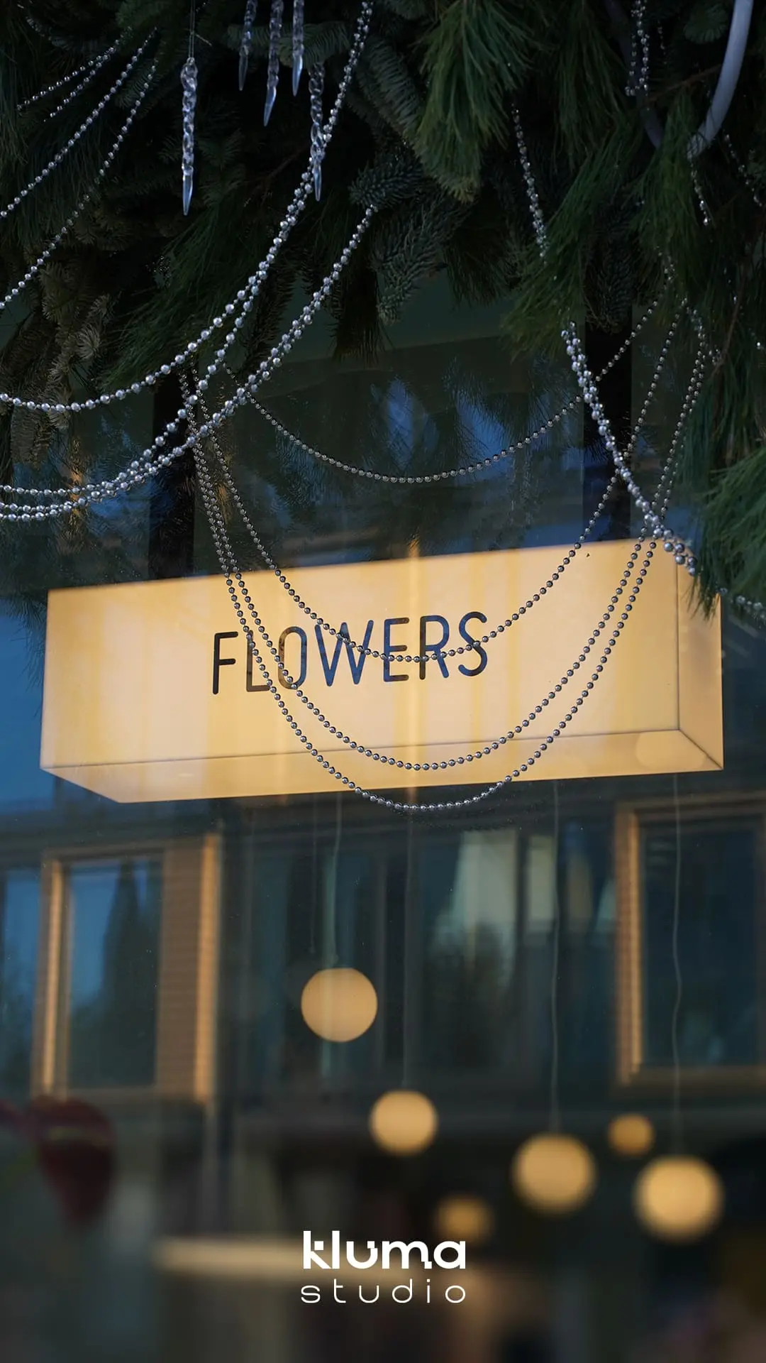 Iris Flowers | 2 x Lightbox - zdjęcie 1