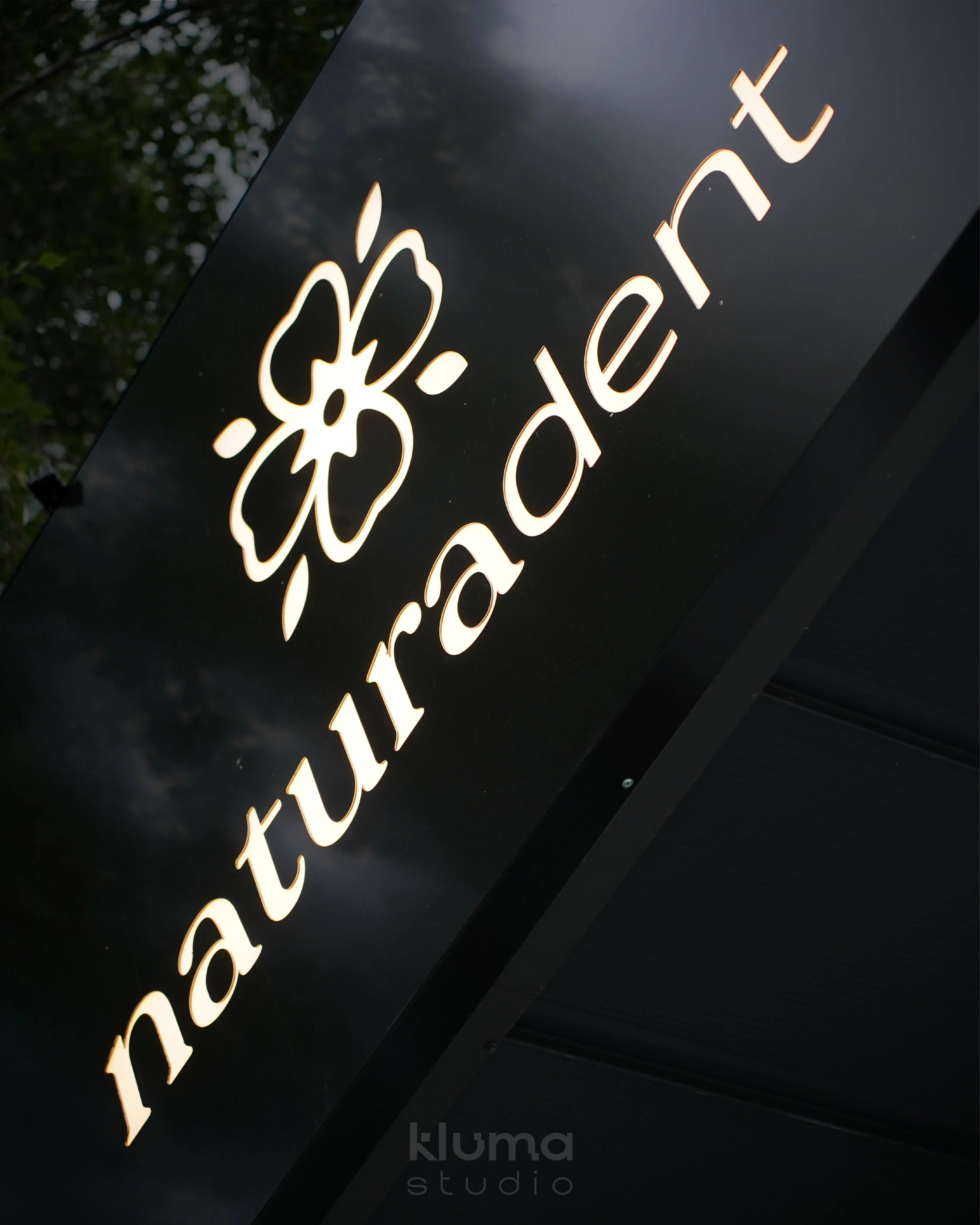 Naturadent | Kaseton | Semafor - zdjęcie 3